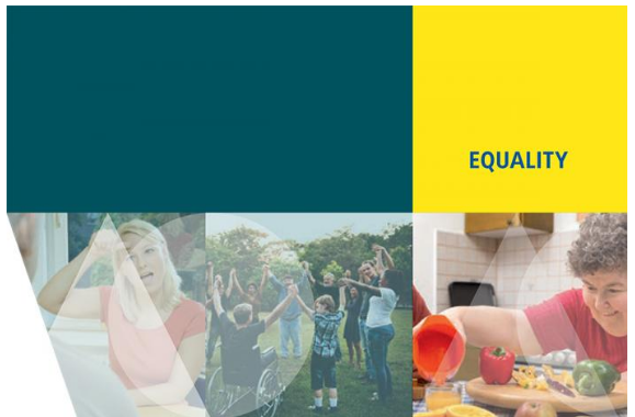 “From institutions to community living” – FRA publishes three reports